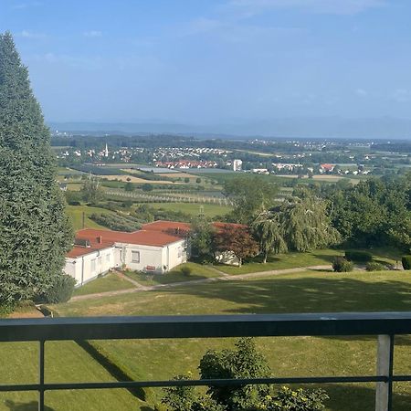 See- Und Bergblick Oberteuringen Apartment Exterior photo